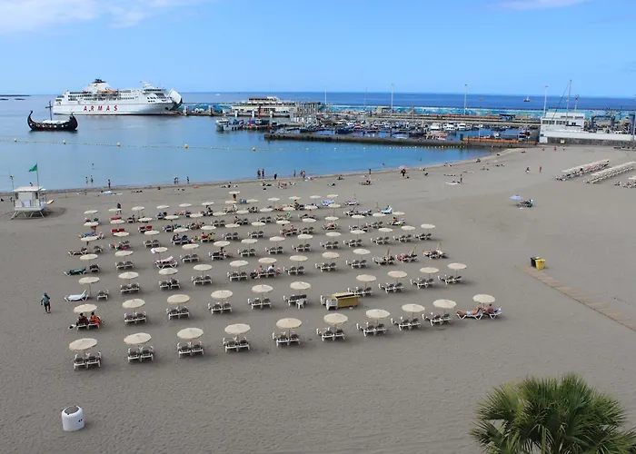 Cozy-central Apartment4 Appartement